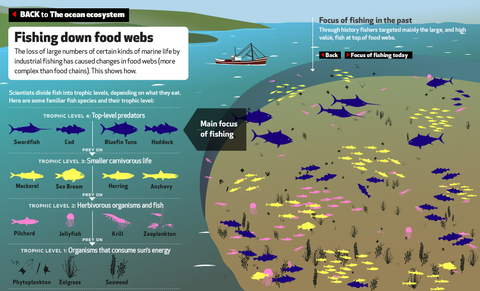 EyeOverFishing.org - Compare fisheries.jpg